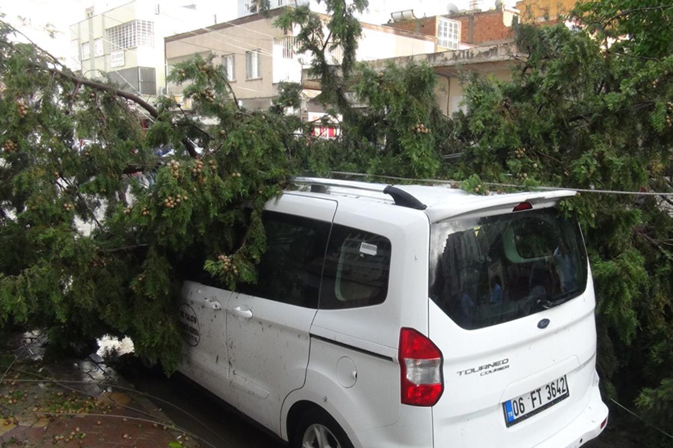 Kızıltepe’de aniden gelen fırtına ağaçları yerinden söktü